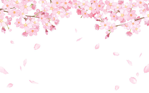 【新社会人・進級おめでとうございます🎉】
