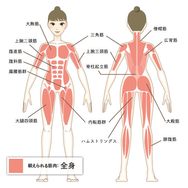 鍛えられる筋肉：全身